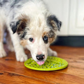 Tree Of Life eMat Enrichment Lick Mat-Slow Feeder-Rover Pet Products